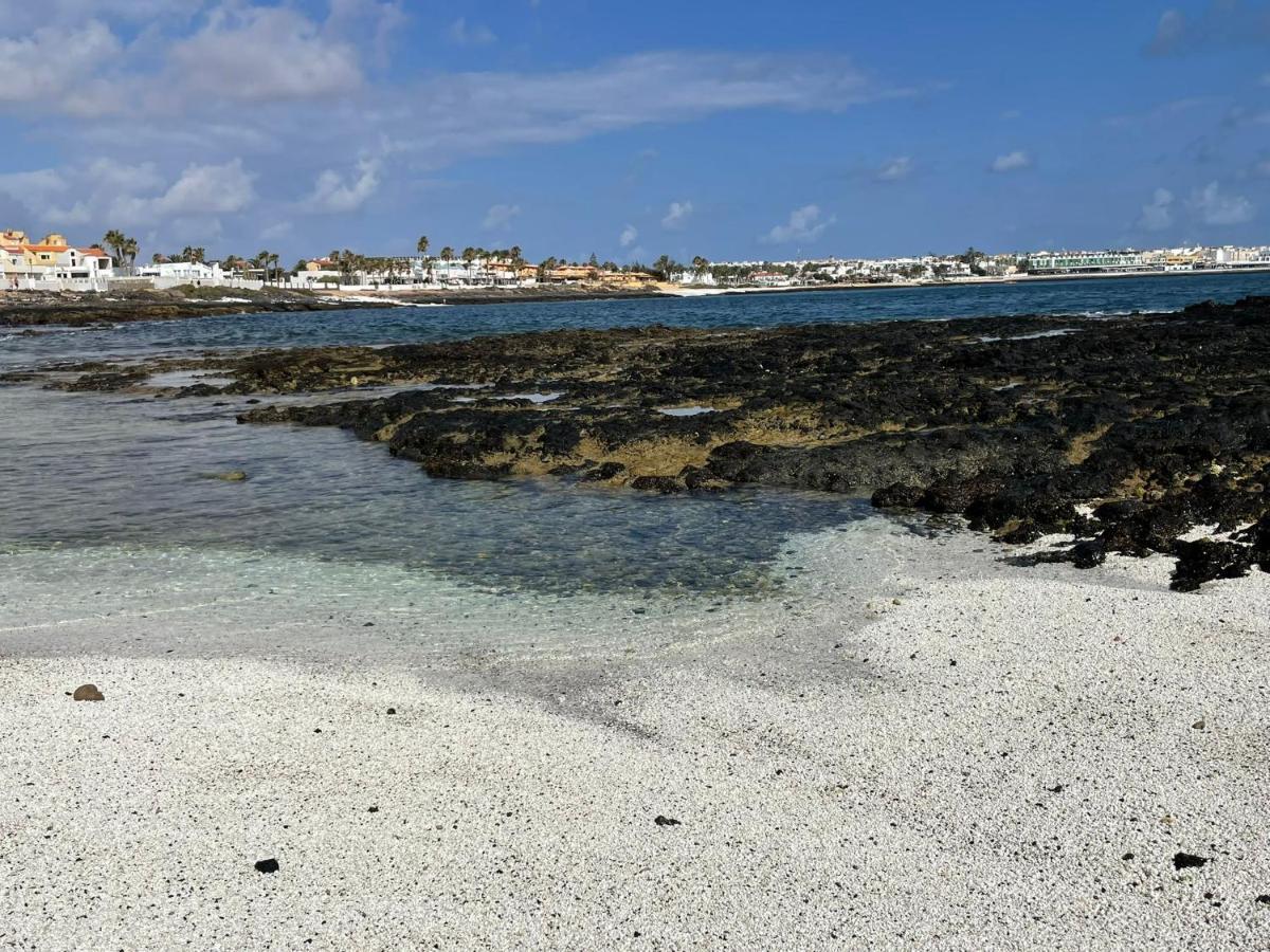 Eco House Golfinhos Daire Corralejo Dış mekan fotoğraf